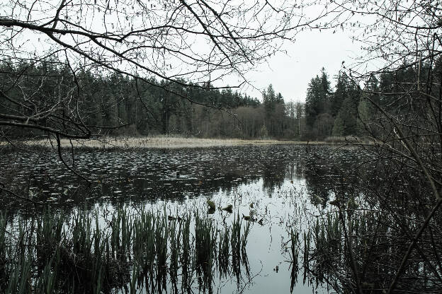 Stanley Park, Vancouver