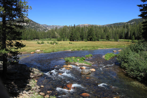 Reds Meadow