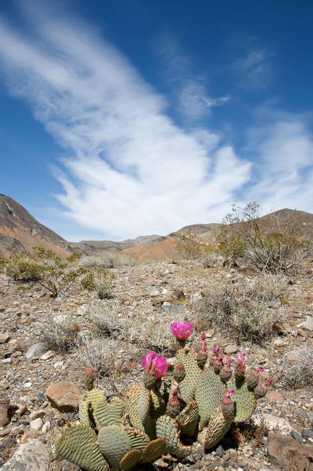 Death Valley