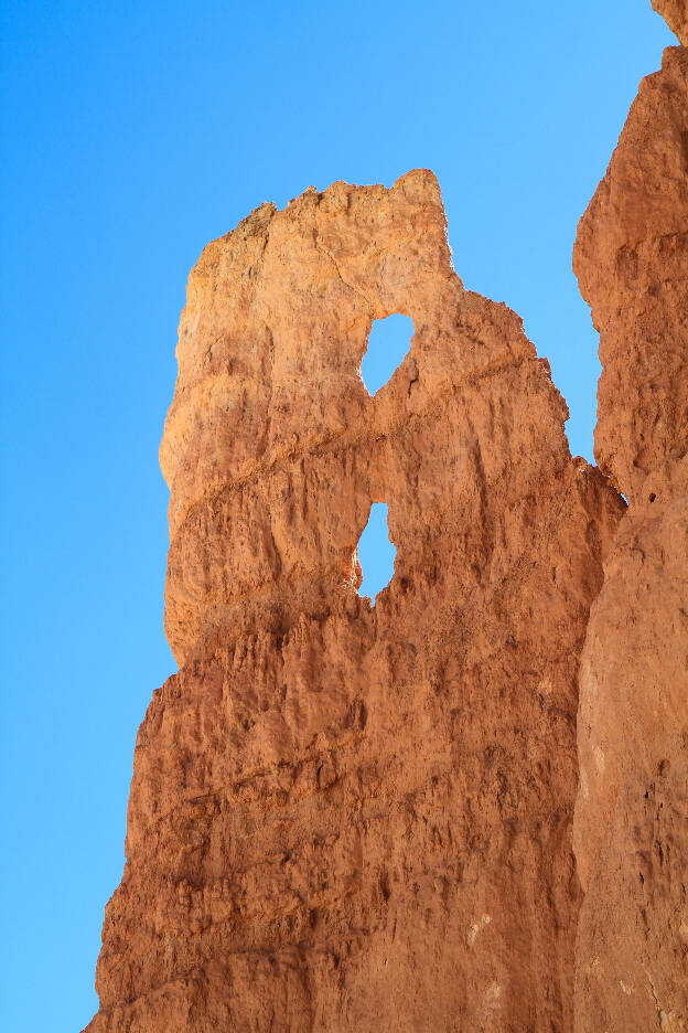 Hoodoo at Bryce Canyon