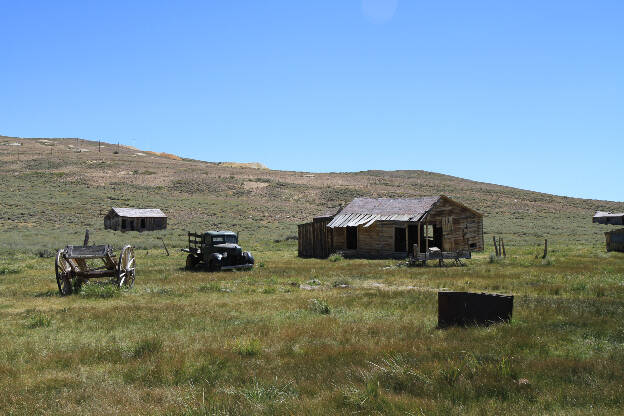 Bodie