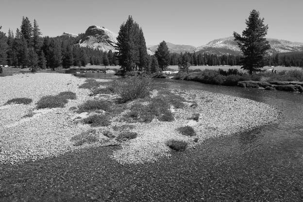 Tuolumne Meadows