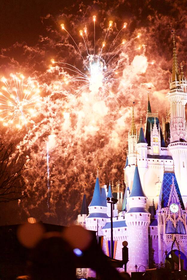 Disney World Fireworks